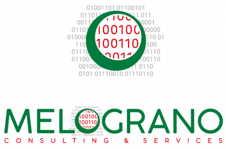 Melograno Consulting Services